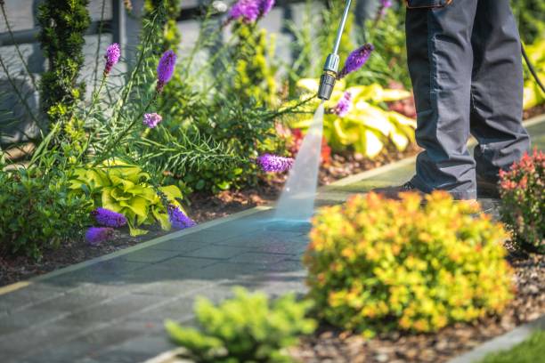Best Spring Cleaning  in Dousman, WI