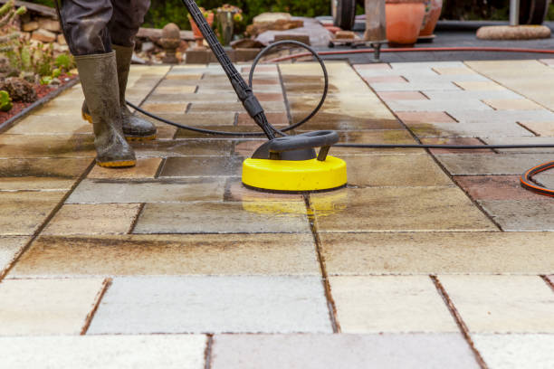 Best Roof Washing  in Dousman, WI